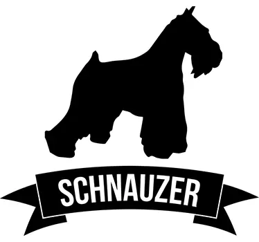 Sticker Schnauzer chien - TenStickers