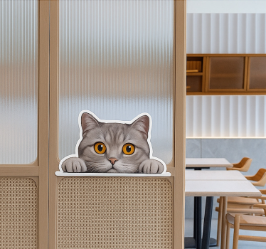 Sticker fenêtre chat curieux qui espionne - TenStickers