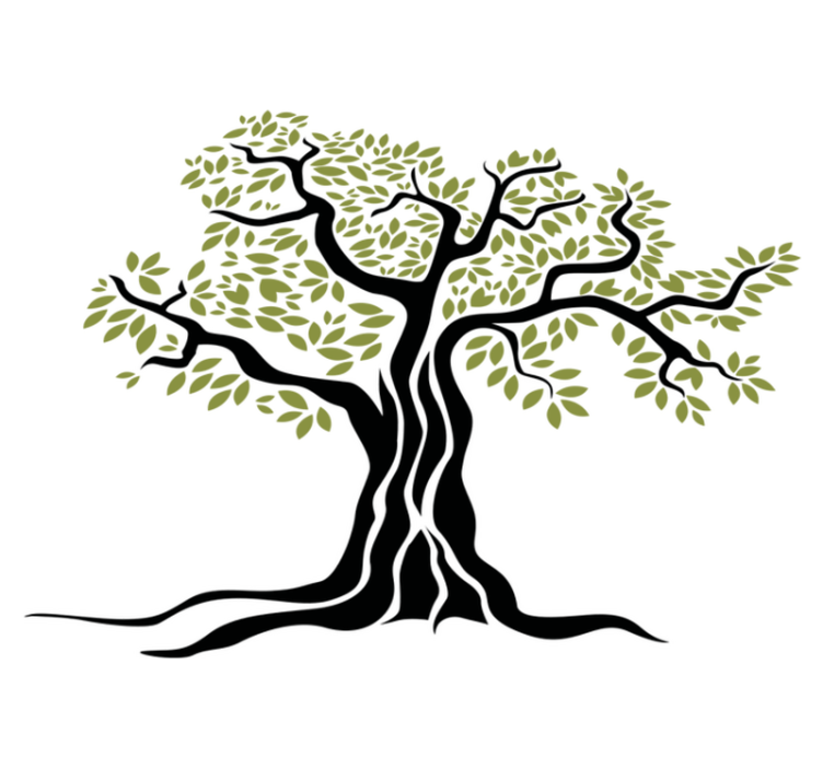 Tapis vinyle fleurs et plantes olivier noir vert - TenStickers