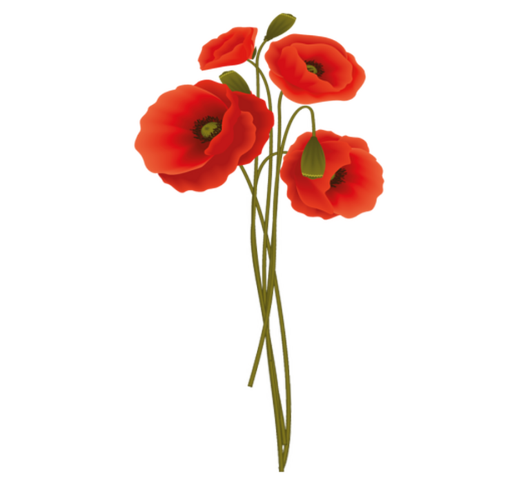 Tapis vinyle salle de bain poppies délicates - TenStickers