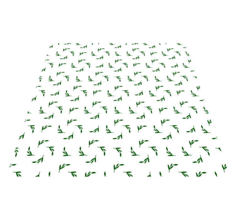 Tapis vinyle fleurs et plantes illustration botanique - TenStickers