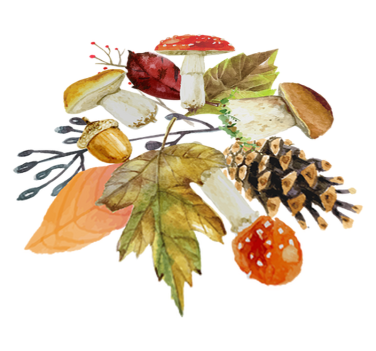 Tapis vinyle nature feuilles et fruits de forêt - TenStickers