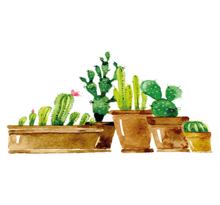 Tapis vinyle fleurs et plantes jardin de cactus fait maison - TenStickers