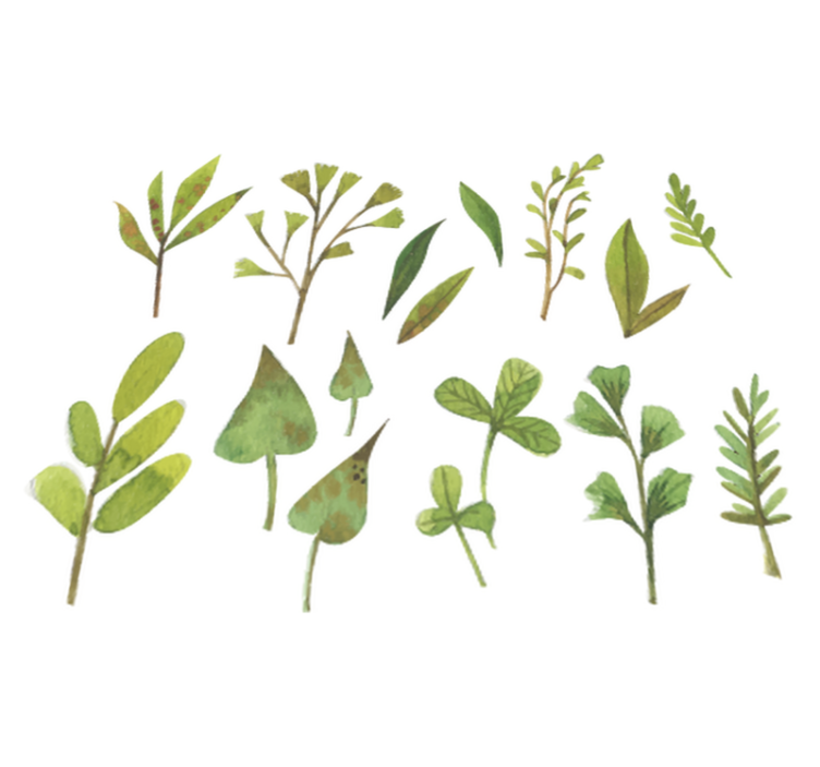 Tapis vinyle fleurs et plantes feuilles aquarelle - TenStickers