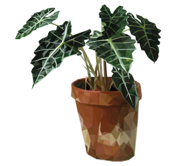 Tapis vinyle fleurs et plantes pot de fleurs géométrique - TenStickers