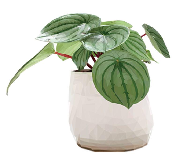 Tapis vinyle fleurs et plantes plante d'intérieur simple - TenStickers