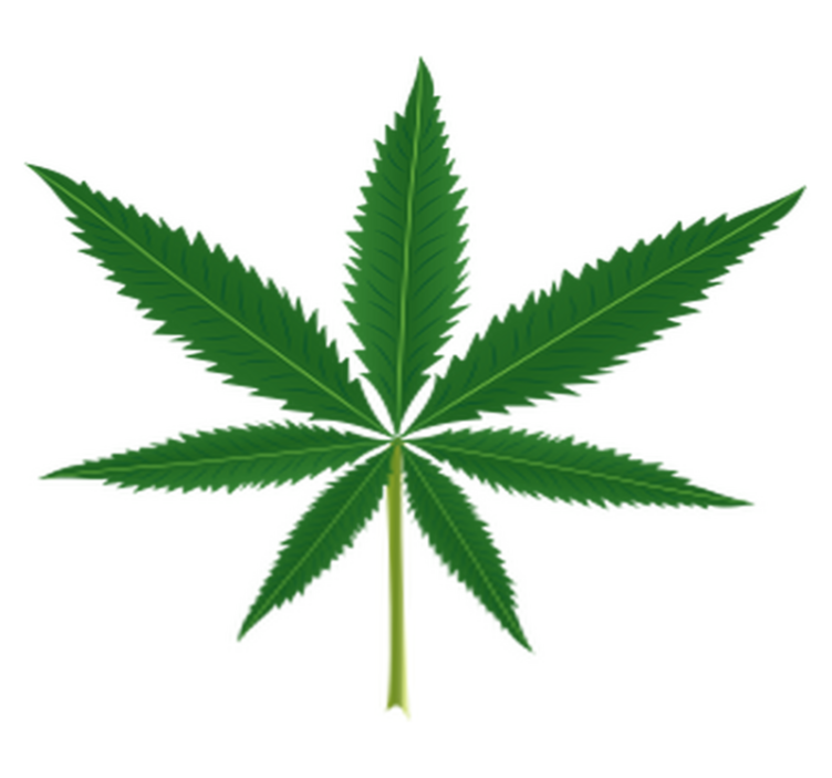 Tapis vinyle fleurs et plantes feuille de cannabis - TenStickers