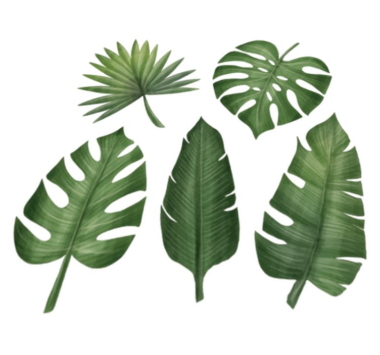 Tapis vinyle fleurs et plantes grandes feuilles vertes - TenStickers