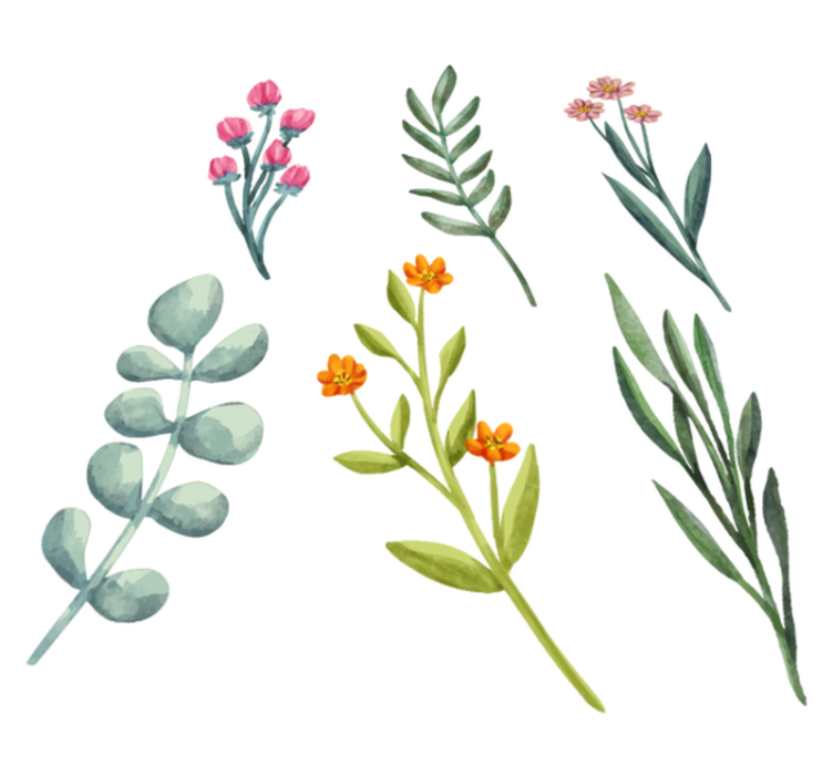 Tapis vinyle fleurs et plantes branches - TenStickers