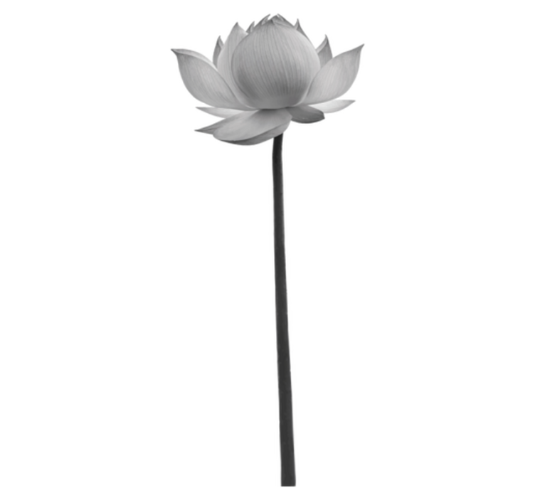 Tapis vinyle chambre fleur de lotus solitaire - TenStickers