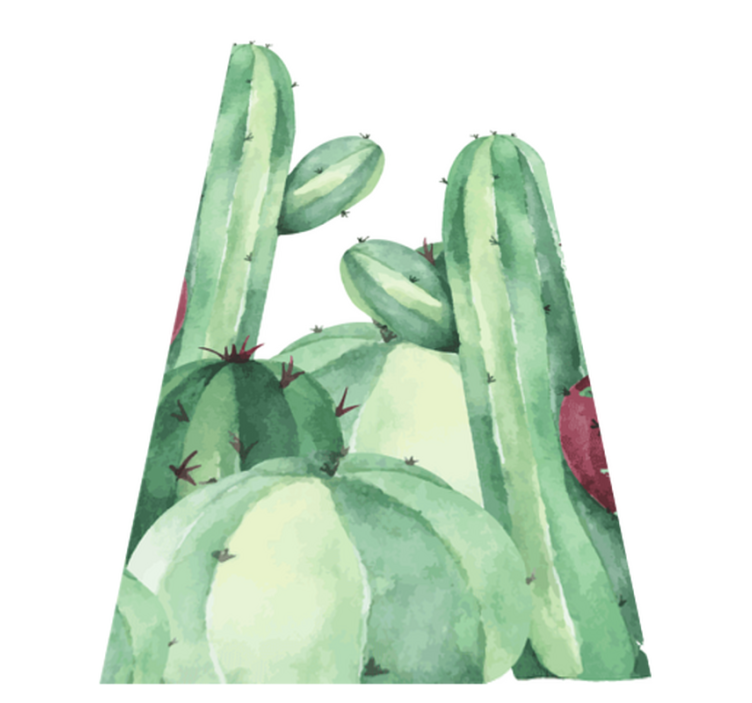 Tapis vinyle salle de bain plantes de cactus - TenStickers