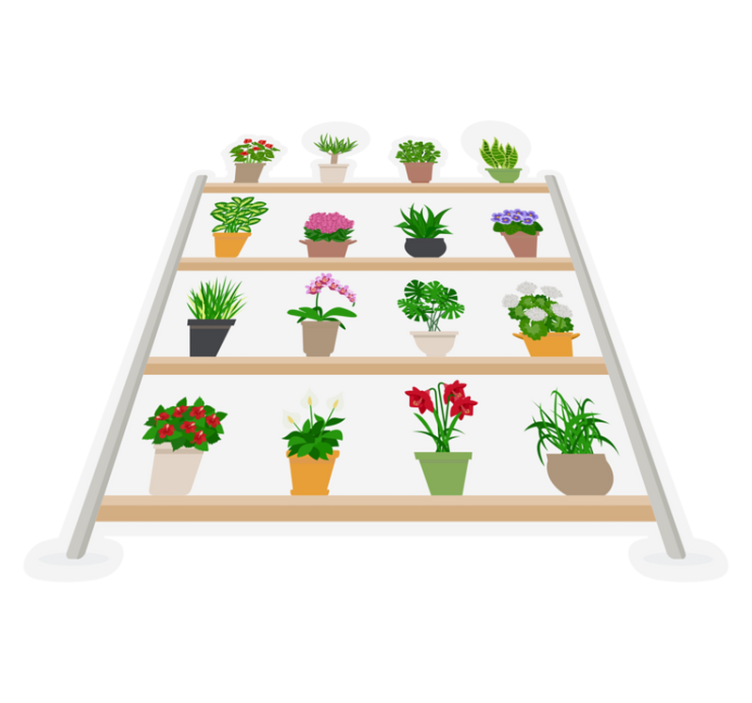 Tapis vinyle cuisine plantes d'intérieur sur étagères - TenStickers