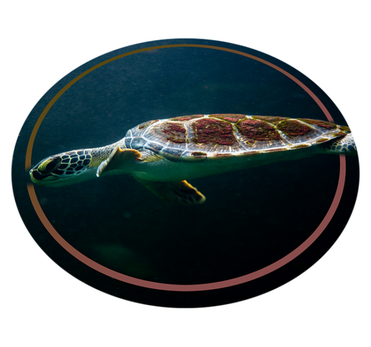 Tapis vinyle animal cercle de tortues de mer - TenStickers