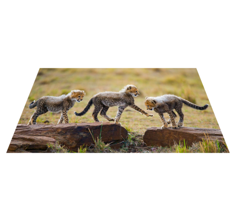 Tapis vinyle animal l'aventure des bébés guépards - TenStickers