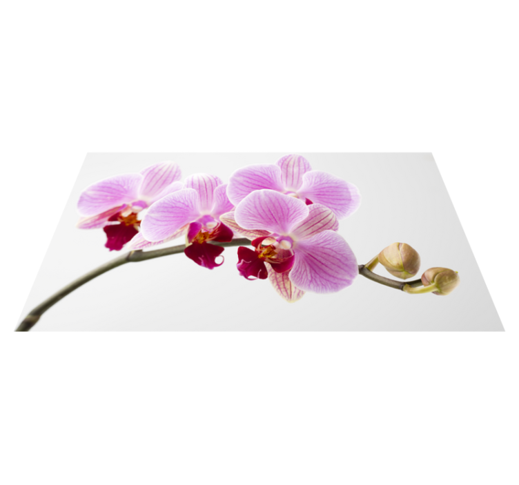 Tapis vinyle fleurs et plantes conception d'orchidée rose - TenStickers