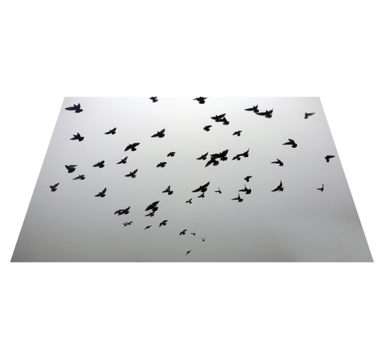 Tapis vinyle autres tapis motif d'oiseaux volants - TenStickers