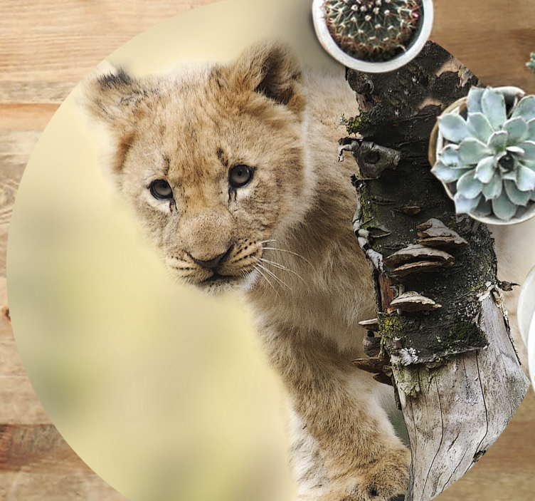 Tapis vinyle animal lionceau curieux - TenStickers