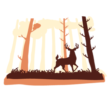 Tapis vinyle chambre forêt et cerfs - TenStickers
