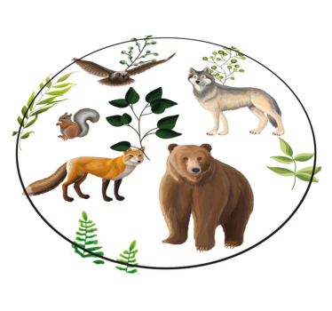 Tapis vinyle autres tapis créatures amicales de la forêt - TenStickers