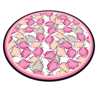 Tapis vinyle cuisine composition de fruits blush - TenStickers