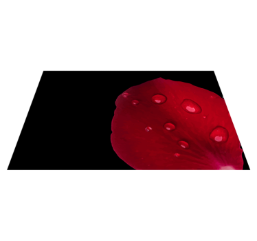 Tapis salon Pétale rouge avec goutte d'eau - TenStickers