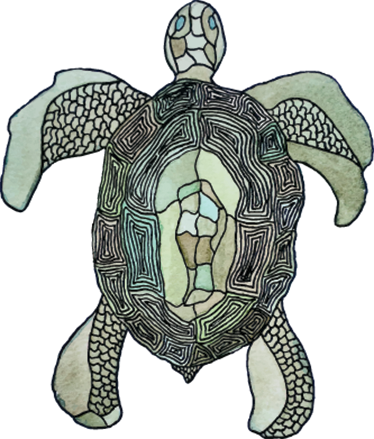 Tapis vinyle animal tortue classique - TenStickers