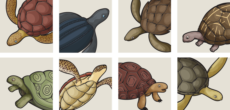 Tapis vinyle animal motif de tortues variées - TenStickers