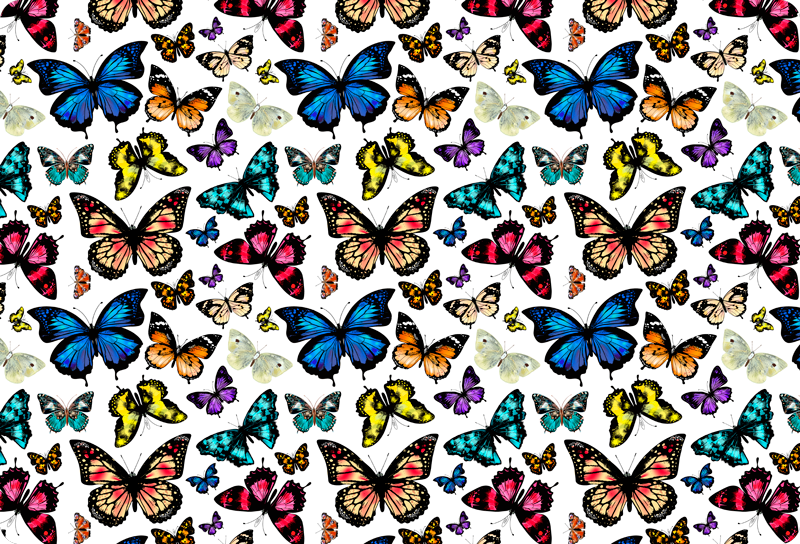 Tapis vinyle animal papillons beaux et colorés - TenStickers
