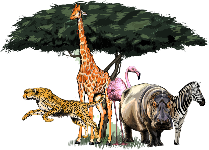 Tapis vinyle animal famille de girafes safari - TenStickers