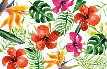 Tapis vinyle fleurs et plantes monstera coloré - TenStickers