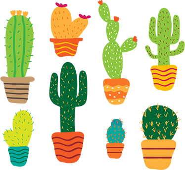 Tapis vinyle fleurs et plantes pack cactus colorés - TenStickers