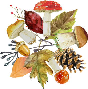 Tapis vinyle fleurs et plantes éléments d'automne - TenStickers