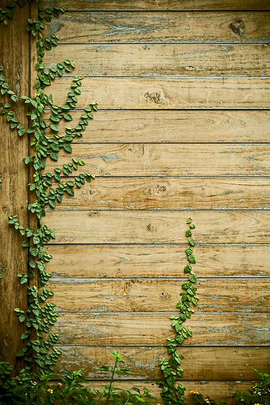 Tapis vinyle fleurs et plantes vignes sur bois - TenStickers
