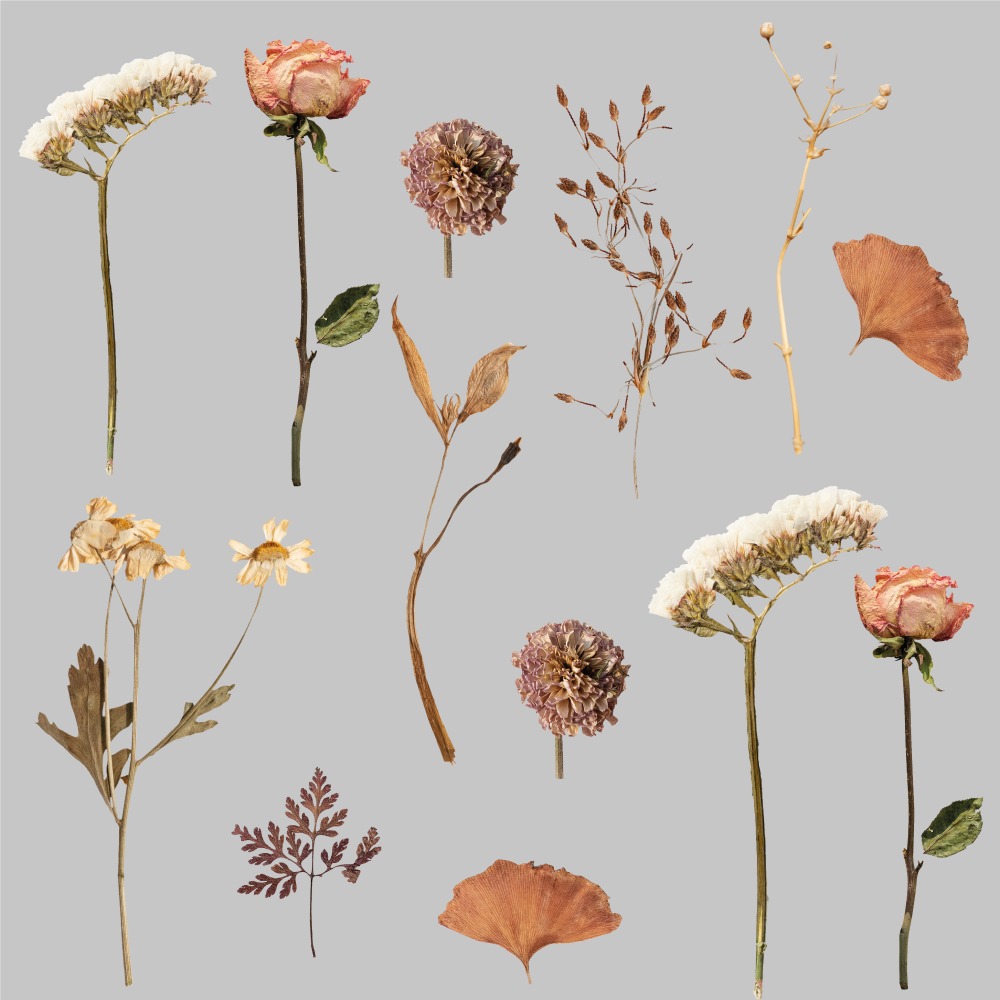 Tapis vinyle fleurs et plantes motifs feuilles sèches - TenStickers