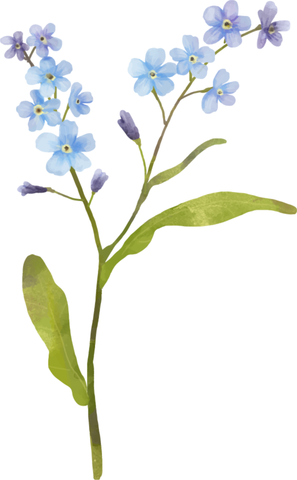 Tapis vinyle fleurs et plantes bleu gracieux - TenStickers