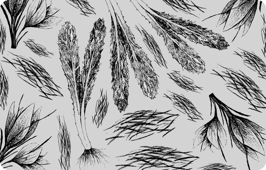 Tapis vinyle fleurs et plantes dessinées à la main sèches - TenStickers