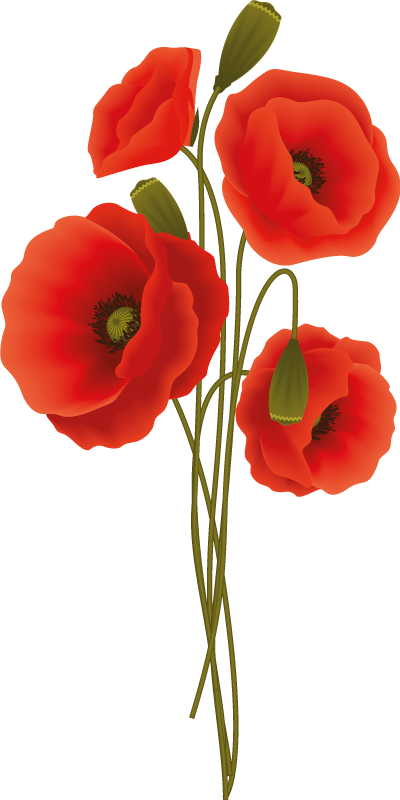 Tapis vinyle salle de bain poppies délicates - TenStickers
