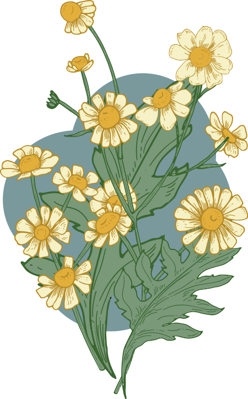 Tapis vinyle fleurs et plantes composition Éclatante - TenStickers