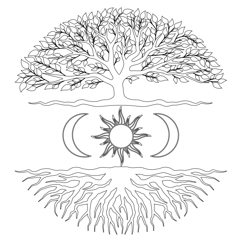 Tapis vinyle nature système racinaire d'arbre - TenStickers