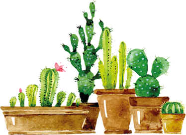 Tapis vinyle fleurs et plantes jardin de cactus fait maison - TenStickers