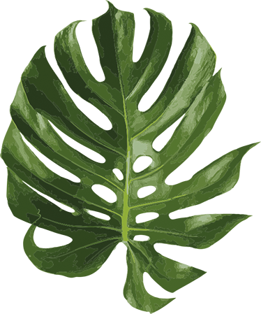 Tapis vinyle fleurs et plantes feuille de monstera - TenStickers