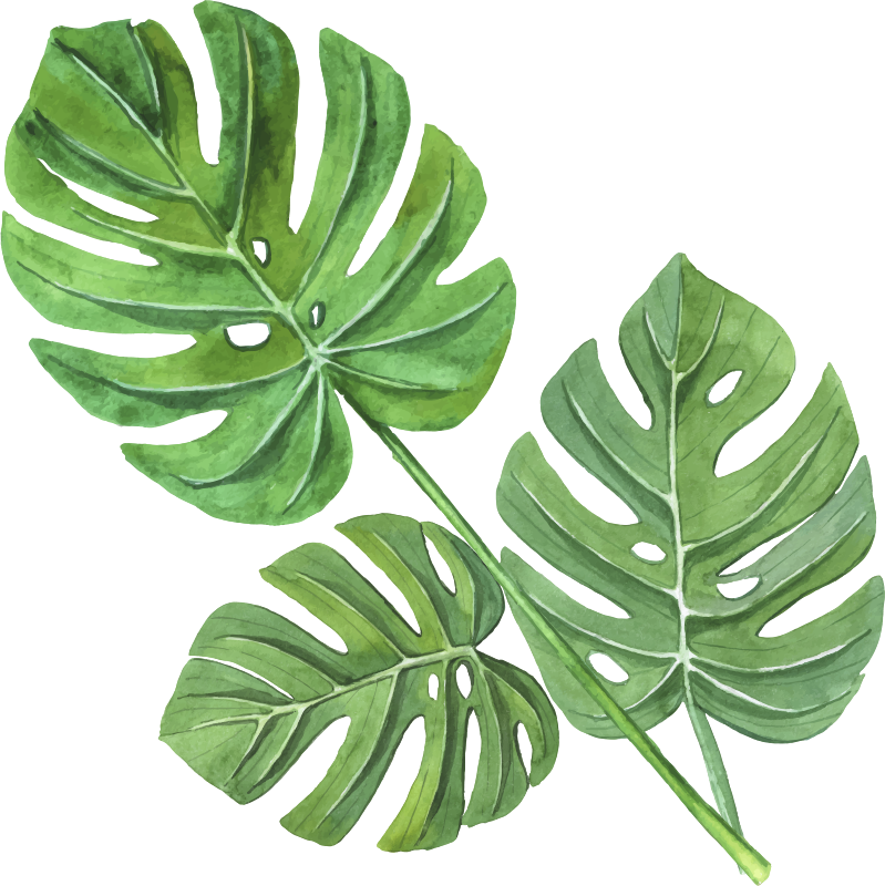 Tapis vinyle fleurs et plantes feuilles aquarelle monstera - TenStickers