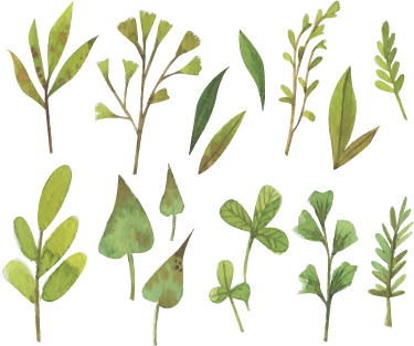 Tapis vinyle fleurs et plantes feuilles aquarelle - TenStickers