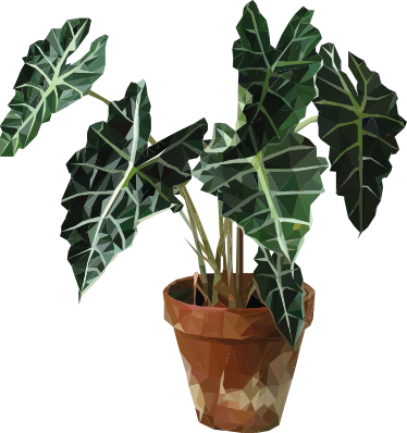 Tapis vinyle fleurs et plantes pot de fleurs géométrique - TenStickers