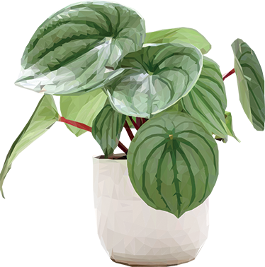 Tapis vinyle fleurs et plantes plante d'intérieur simple - TenStickers