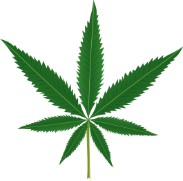 Tapis vinyle fleurs et plantes feuille de cannabis - TenStickers