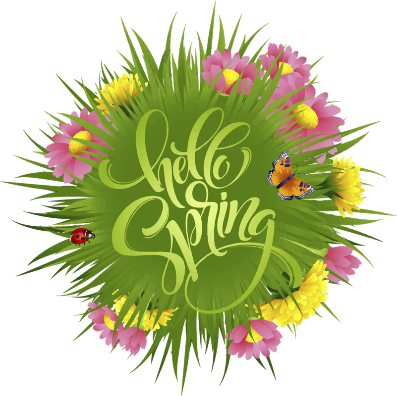 Tapis vinyle fleurs et plantes champêtre printemps - TenStickers