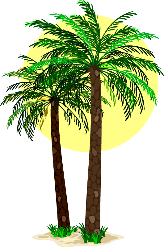 Tapis vinyle fleurs et plantes palmiers tropicaux - TenStickers