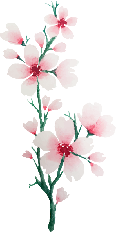 Tapis vinyle chambre design de jolis fleurs blanches - TenStickers