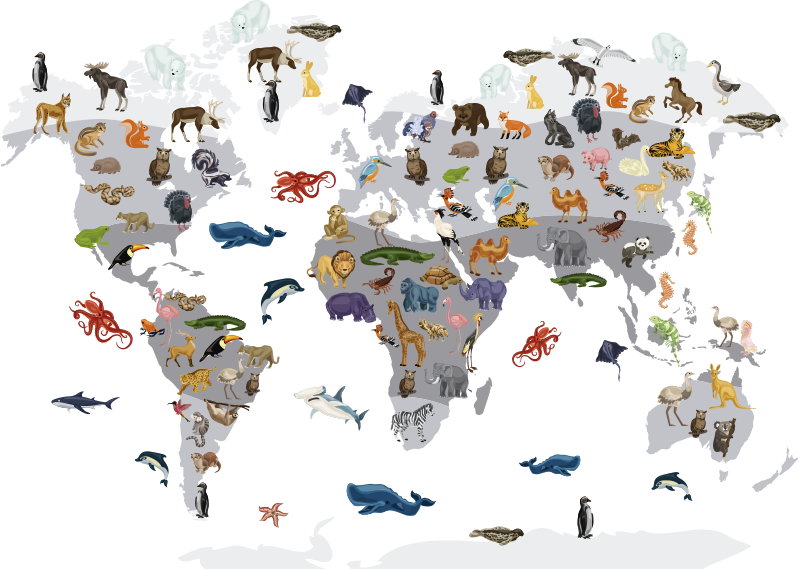 Tapis vinyle carte du monde style nordique - TenStickers